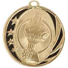 Torch MidNite Star Medal with Neck Ribbon