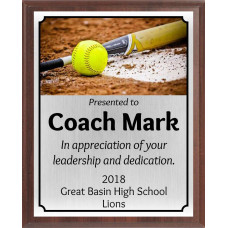Bat and Ball Softball Plaque