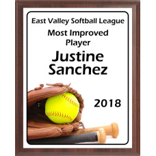 Glove, Ball, and Bats Softball Plaque