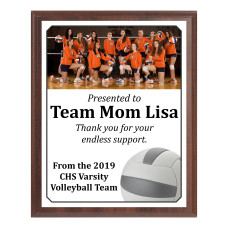 Economy Heat Transfer Team Photo Plaque, Volleyball