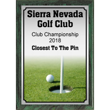 Ball and Pin Golf Plaque