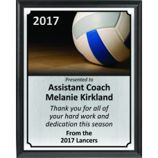 Ball on Court Volleyball Plaque
