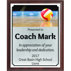 Red and Gold Volleyball Plaque