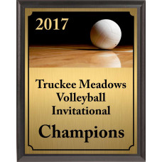 Volleyball On Dark Court Plaque