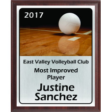 Volleyball On Glossy Court Plaque