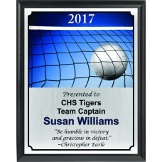 Ball in Net Volleyball Plaque
